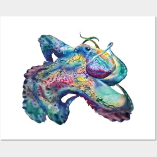 Octopus Art Watercolor Posters and Art